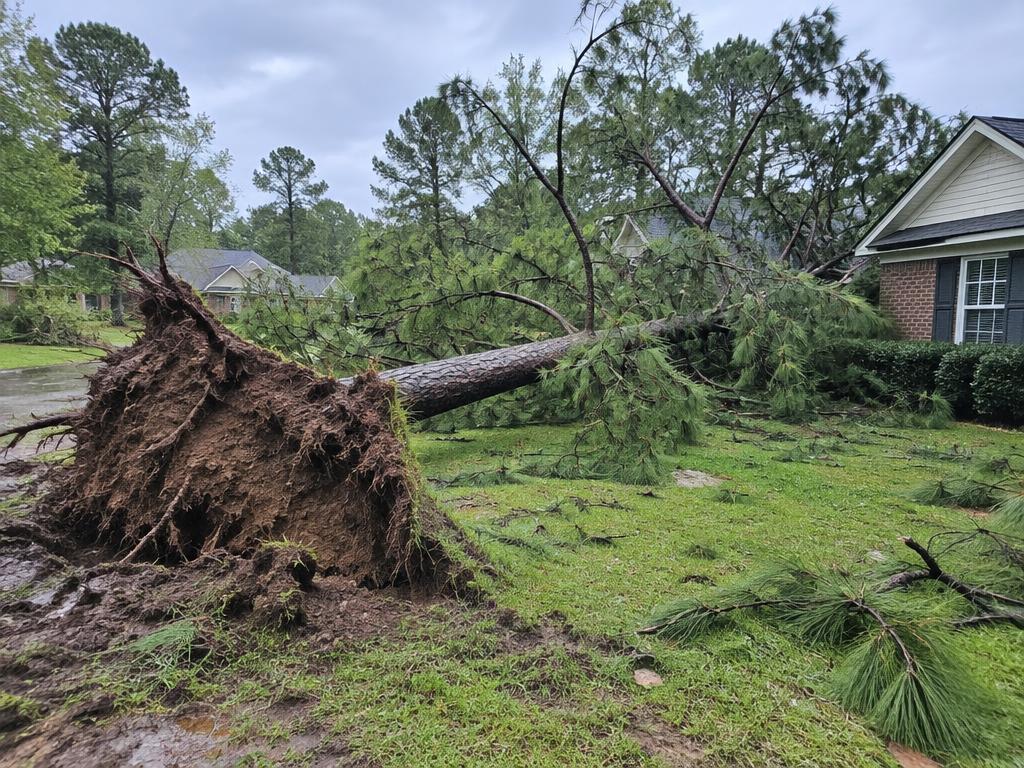 Emergency / Storm Tree Removal equipment and tree work in a Charlotte-area Piedmont yard